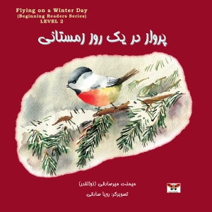 پرواز در یک روز زمستانی (رده دوّم)